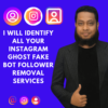 instagram ghost follower removal services